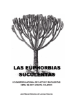 Euforbias suculentas - Árboles ornamentales