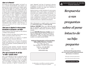 Respuesta a sus preguntas sobre el pene intacto de su hijo