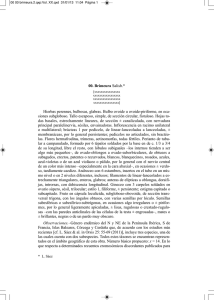 Brimeura - Flora Iberica