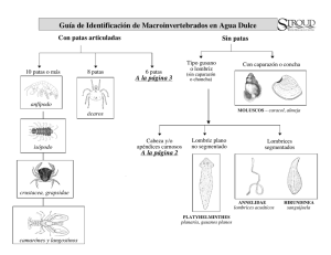 Guía de Identificación de Macroinvertebrados en Agua Dulce