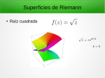 Superficies de Riemann