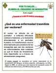 Aedes aegypti ¿Qué es una enfermedad trasmitida por vectores?