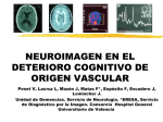 Neuroimagen en el Deterioro Cognitivo de Origen Vascular