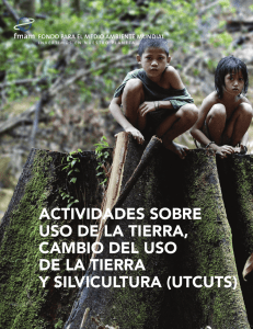 actividades sobre uso de la tierra, cambio del uso de la tierra y