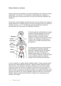 Sistema endocrino y hormonas Todas las funciones del organismo