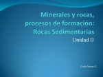 Minerales y rocas procesos de formación rocas sedimentarias