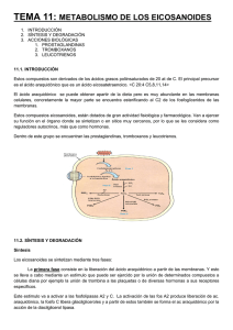 tema 11: metabolismo de los eicosanoides