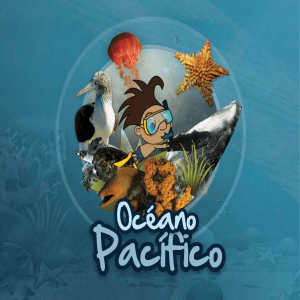 Océano - México el país de las maravillas
