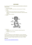 marasmo - IHMC Public Cmaps (2)