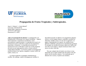 Propagación de Frutos Tropicales y Subtropicales. - Miami