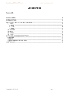 TEMA 2 Los sentidos - Centro de Recursos y Form. del