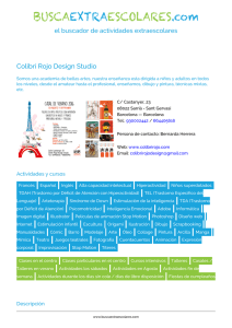 Colibrí Rojo Design Studio