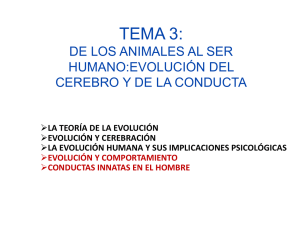 2013 t_3 evolución y comportamiento 1