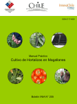 Cultivo Hortalizas en Magallanes - Dirección de Innovación y Calidad