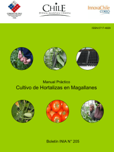 Cultivo Hortalizas en Magallanes - Dirección de Innovación y Calidad