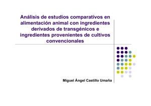 Derivados de transgénicos e ingredientes provenientes