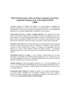 Plan de Manejo para cultivo de Papaya Orgánica en la Finca