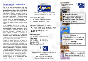 982 822 304, 982 822 305  Curso Básico