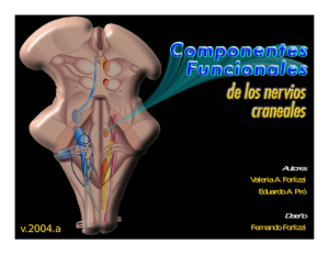 Autores Valeria A. Forlizzi Eduardo A. Pró Diseño Fernando Forlizzi