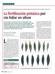 La fertilización potásica por vía foliar en olivar