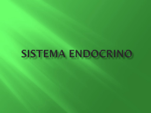 Sistema endocrino - Biomagnetismo Capacitacion