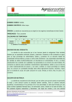 Ficha técnica del cultivo de cebolla