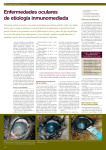 Maquetación 1 (Page 46) - Clinica Ocular Veterinaria