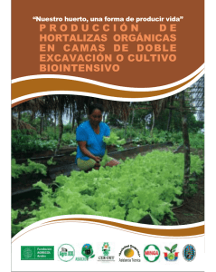 producción de hortalizas orgánicas en camas de