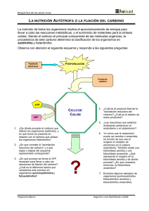 la nutrición autótrofa o la fijación del carbono