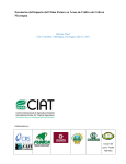 Escenarios del Impacto del Clima Futuro en Áreas de - CIAT-DAPA