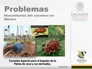 Problemas Fitosanitarios del cocotero en Mexico