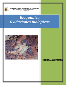 Bioquímica Oxidaciones Biológicas