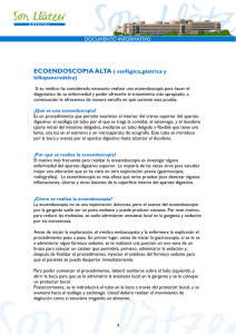 ECOENDOSCOPIA ALTA ( esofágica,gástrica y