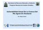 Vulnerabilidad Actual De La Cuenca Del Río Aguan En