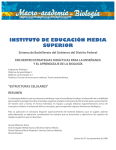 instituto de educación media superior