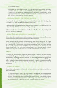 • Densidad de siembra Para sembrar una hectárea se utiliza de 16 a