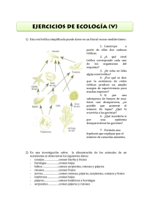 actividades de ecologia
