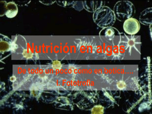 Nutrición en algas I