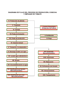 5991.66.59.6.Diagrama de flujo tomate