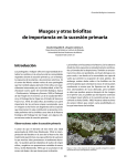 Musgos y otras briofitas de importancia en la sucesión primaria