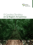 El Cambio Climático en la Región Amazónica