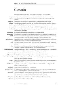 Glosario