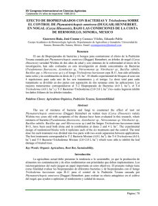 EFECTO DE BIOPREPARADOS CON BACTERIAS Y Trichoderma