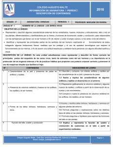 colegio augusto walte informaci&oacute;n de asignatura i per&iacute;odo