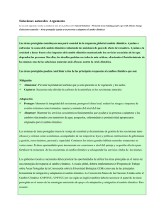 Soluciones naturales: Argumento