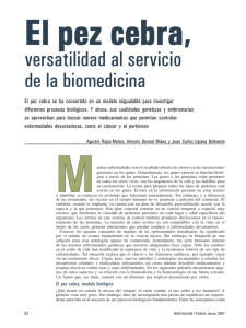 Descarregar PDF - Centro de Medicina Regenerativa de Barcelona