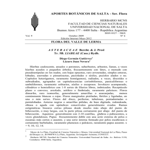 - Universidad Nacional de Salta