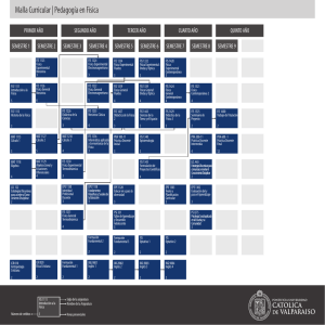 Malla Pedagog&iacute;a en F&iacute;sica
