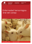 Enfermedad hemorrágica viral del conejo
