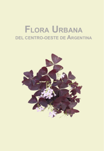 FLORA URBANA